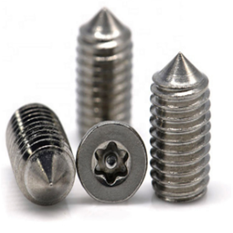 M6 RVS torx met pin cone punt stelschroef