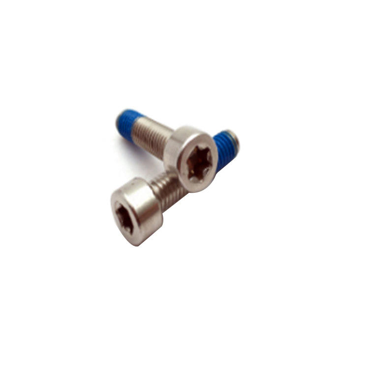 ISO14579 nieuw ontwerp m6 torx met pin nylon geplateerde medische schroef