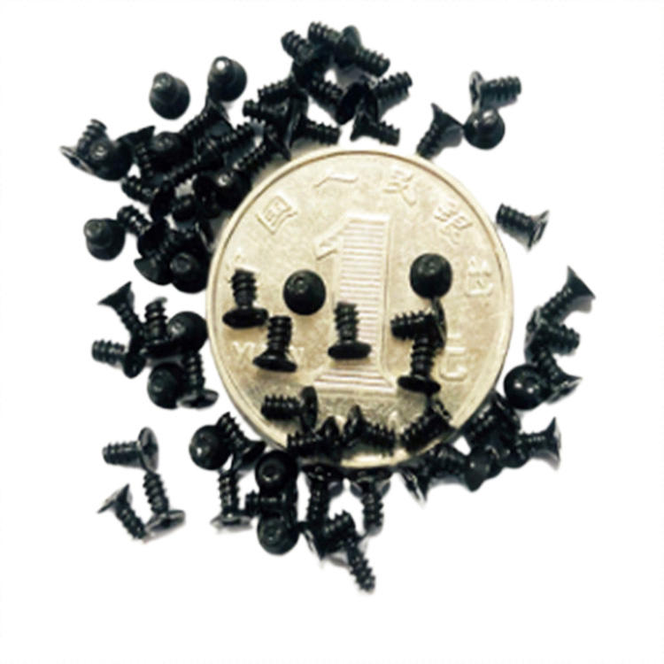 Precisie vergulde zwarte zink M1.6 2 mm microschroef voor horlogetelefoon
