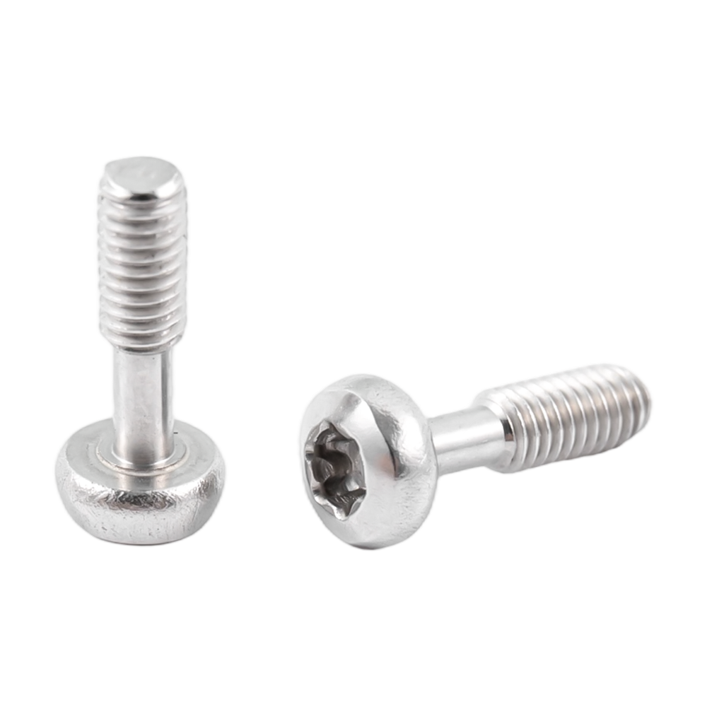 Roestvrijstalen torx-schroeven met bolkop