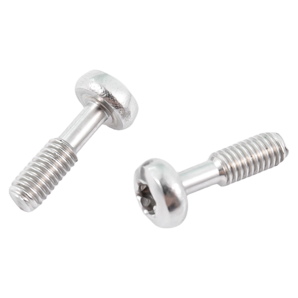 Roestvrijstalen torx-schroeven met bolkop Roestvrijstalen torx-schroeven met bolkop