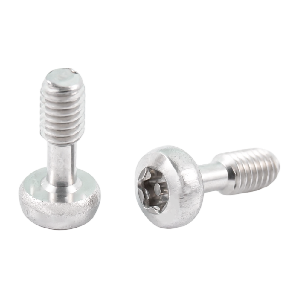 Roestvrijstalen torx-schroeven met bolkop Roestvrijstalen torx-schroeven met bolkop