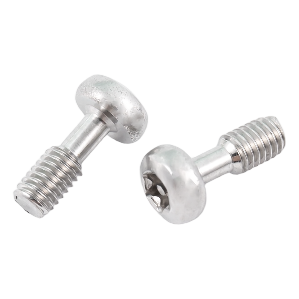 Roestvrijstalen torx-schroeven met bolkop Roestvrijstalen torx-schroeven met bolkop