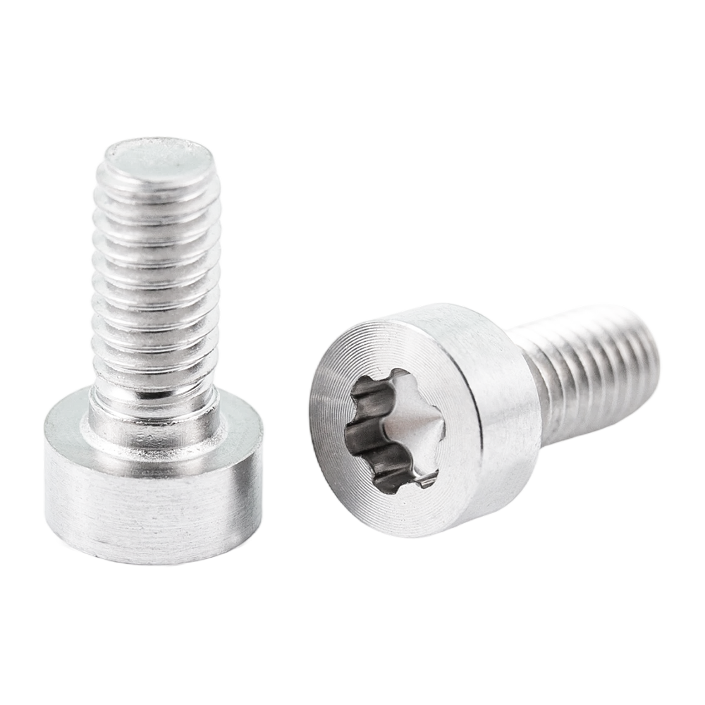 Aangepaste CD-patroonschroeven met lage kop en Torx-schroeven met satijngeborstelde kop