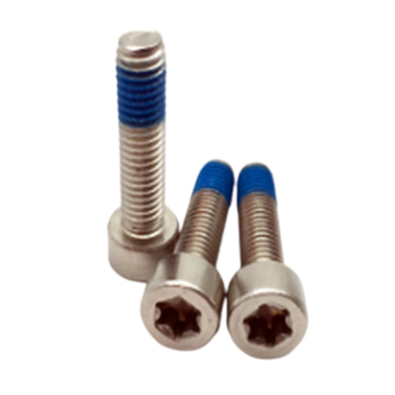 ISO14579 roestvrijstalen torx veiligheidsinbusschroef