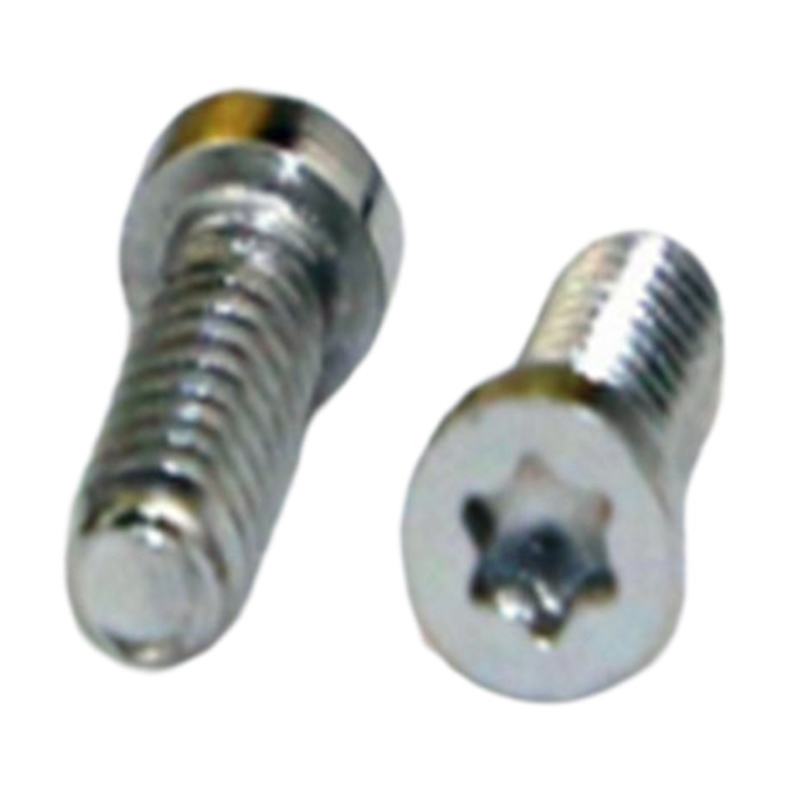 Hoge precisie M1.4 6-lobbige miniatuur microschroef voor horloges