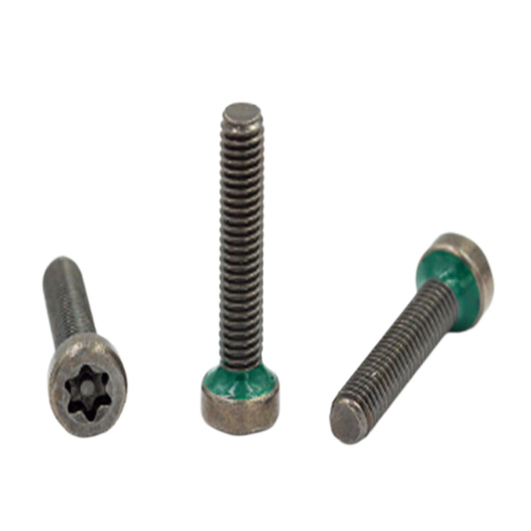 Op maat gemaakt ontwerp torx met waterdichte pin-cup-schroef