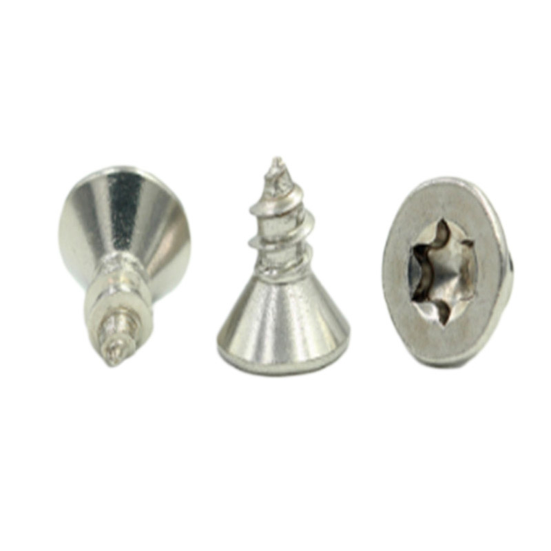 M1.6 torx roestvrij stalen mini-schroef met CD-patroon (1) M1.6 torx roestvrij stalen mini-schroef met CD-patroon (1)